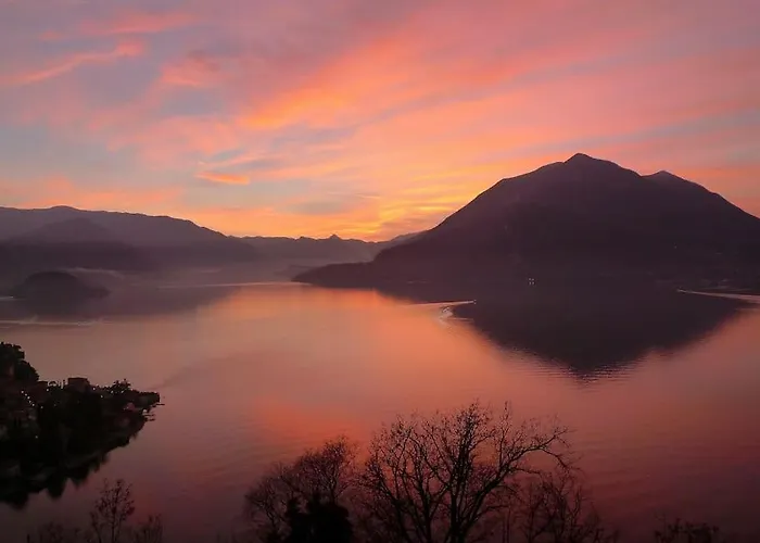 Incredible By Design Perledo