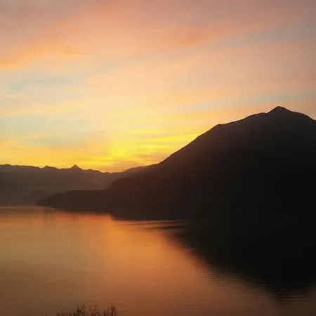 Incredible By Design *