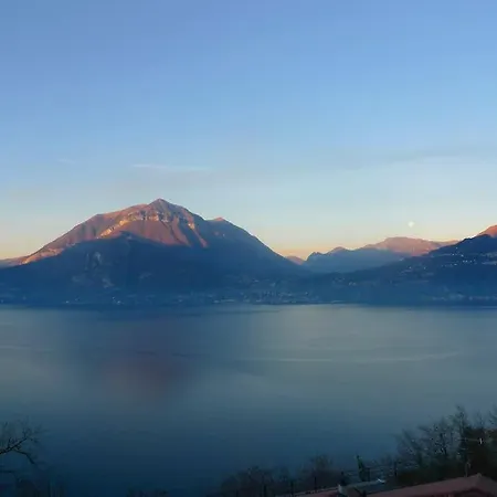 Incredible By Design * Perledo